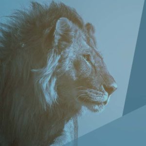 Les bases du ministère prophétique